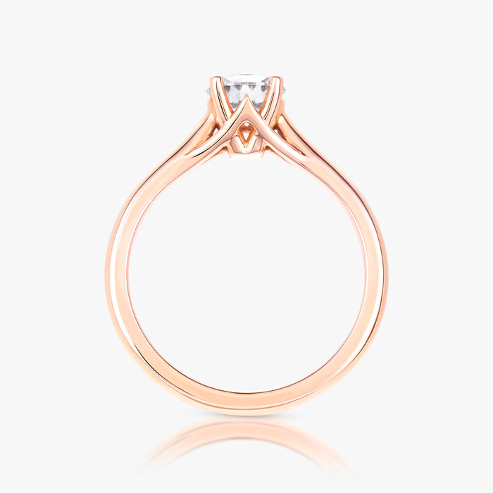 Pinnacle Ring With Straight Band - Carrie K.