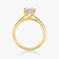 Hidden Halo Ring With Straight Band - Carrie K.