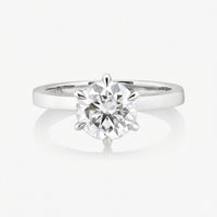 Classic 4/6 Pronged Ring With Straight Band - Carrie K.