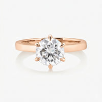 Classic 4/6 Pronged Ring With Straight Band - Carrie K.