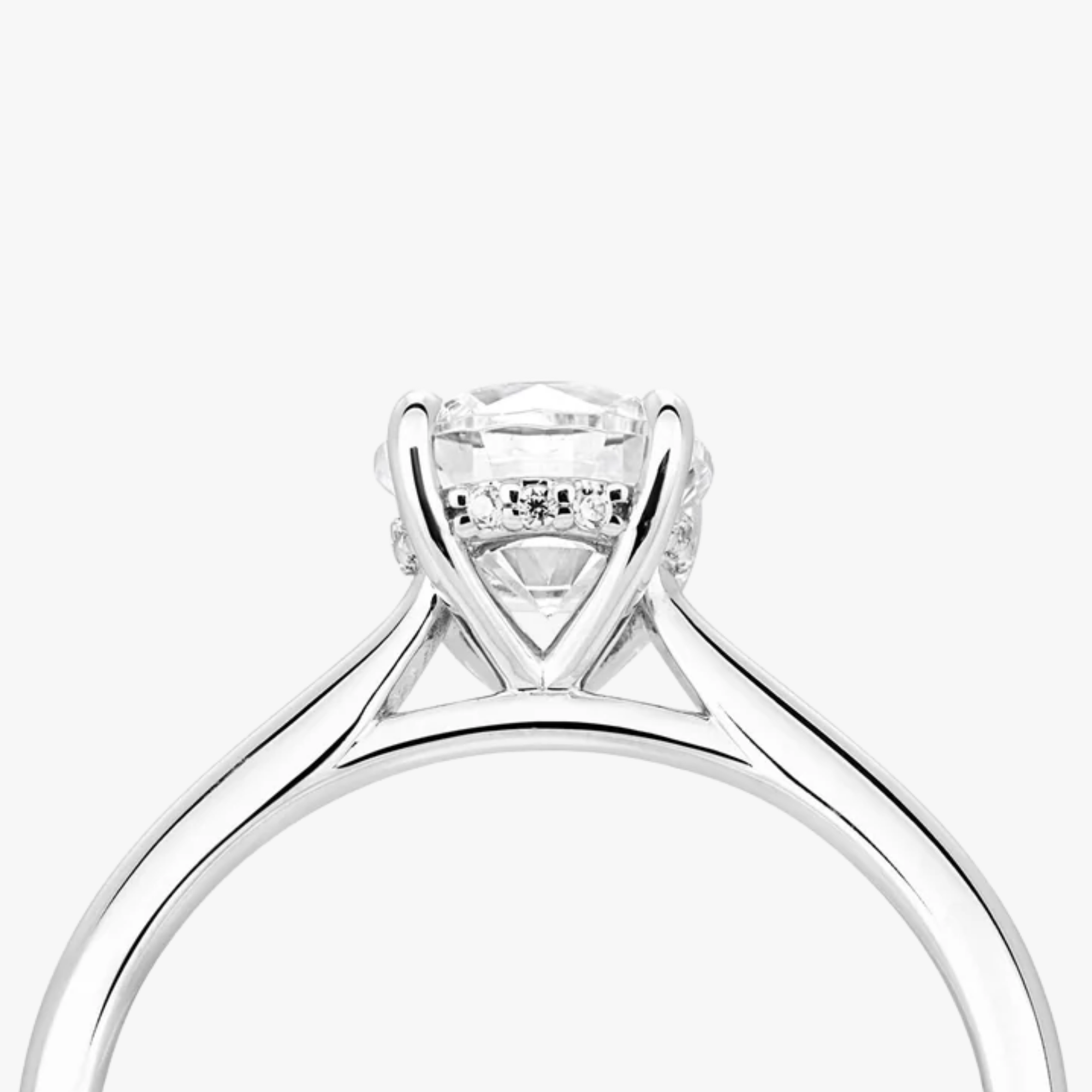 Hidden Halo Ring With Straight Band - Carrie K.