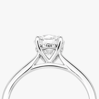 Hidden Halo Ring With Straight Band - Carrie K.