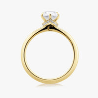 Home Ring With Straight Band - Carrie K.