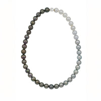 Circle Tahitian and South Sea Graduated Pearl Necklace 10mm - Carrie K.