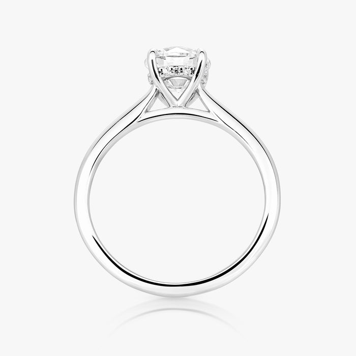 Hidden Halo Ring With Straight Band - Carrie K.