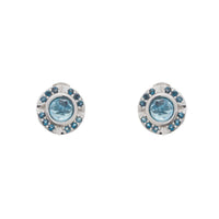 Compass Studs - Carrie K. 
